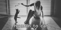 human to cat