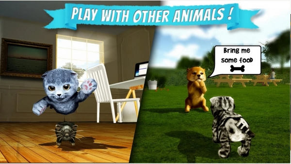 è��ģ��Cat Sim�ٷ���v3.4 ���°�