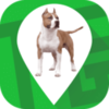 �칷��app����v2.5.9 ��׿��