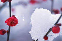 �й�С����ʫ��ʫ�ʴ�ȫ2018 ������дС����ʫ�ʾ����ȫ