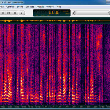 ocenaudio