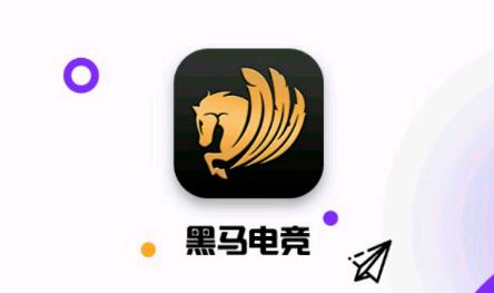 �����羺app