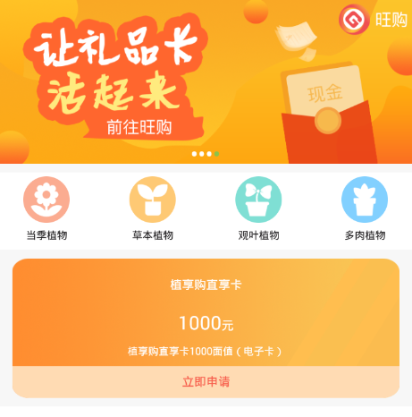 ֲ����