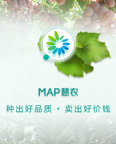 MAP��ũ