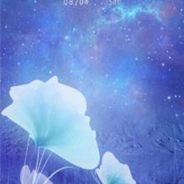 TX�����̵�app