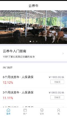 云养牛app 云养牛app