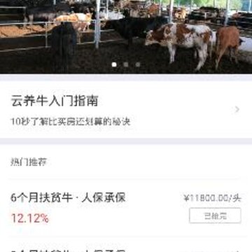 ����ţapp