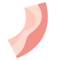 Bacon(���������)v1.0 ��׿��