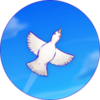 Skyward Journey(���֮������)v1.0 ��׿��