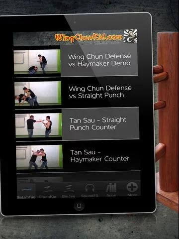 Wing Chun aӽ����������v1.0 ��׿��