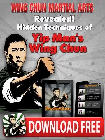 Wing Chun aӽ����������v1.0 ��׿��