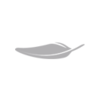 �ὡ��appv3.5.0 ���°�