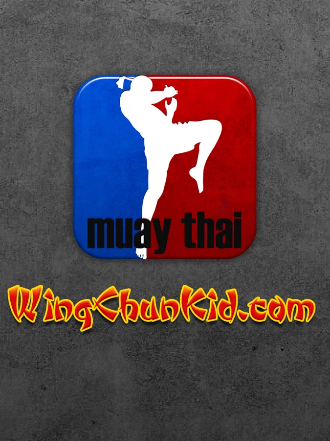 Wing Chun a̩ȭ����v3.0 ��׿��