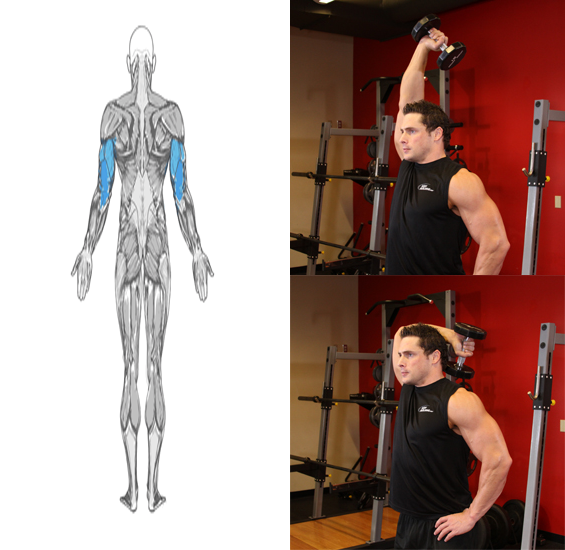 Dumbbells Workout�������v2.0 ��׿��