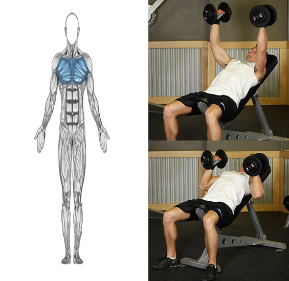 Dumbbells Workout�������v2.0 ��׿��