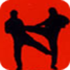 Defensive Fighting��������v1.3.3 ��׿��
