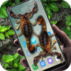 Ы�����ֻ�����appv5.4.6 ���°�