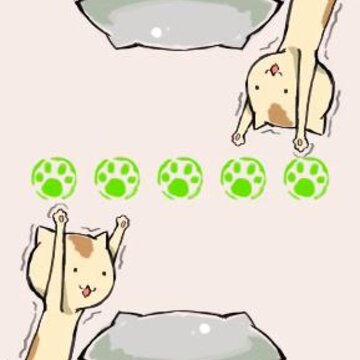 按钮喵 按钮喵