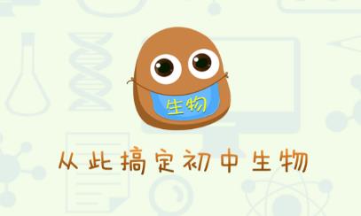 ��������app