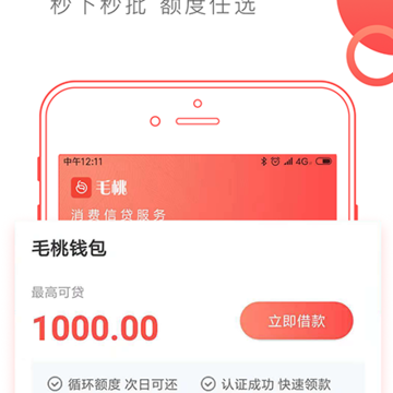 毛桃钱包 毛桃钱包
