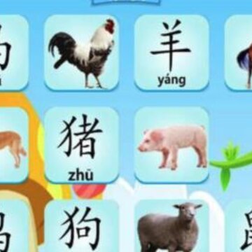 ���涯����֪ʶ����