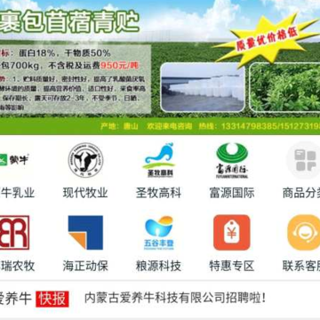 爱养牛 爱养牛