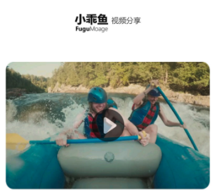 С����(Fugumate)