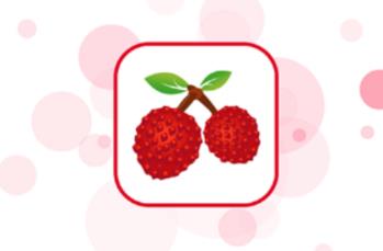 ����֦app
