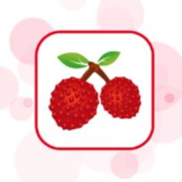红荔枝app 红荔枝app