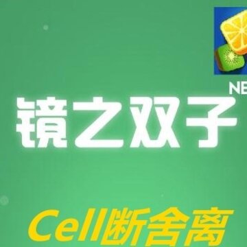 镜之双子 镜之双子
