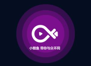 С����app