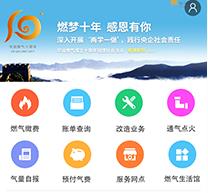 ��ȼ����app