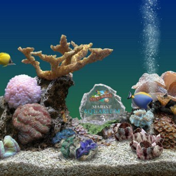 MarineAquarium3