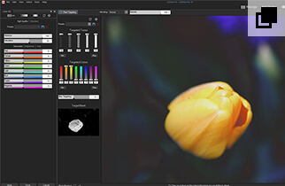 ACDSee Pro 10�������İ�