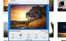 ACDSee Pro 10�������İ�