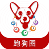 �ܹ�ͼv1.0 ���°�