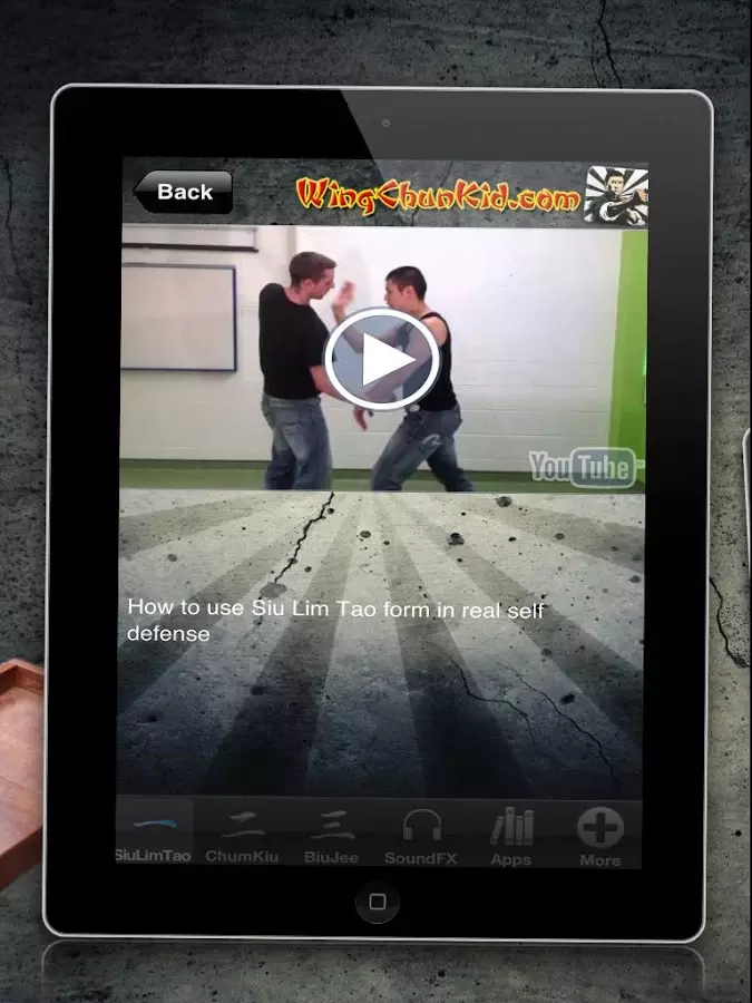 Wing Chun aҶ��ӽ������v9.0 ��׿��