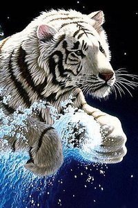 3D Tiger(3D)v1.51 ׿