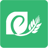 ũ������v1.0.4 ��׿��