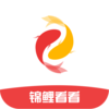 ���𿴿�appv1.1 ���°�