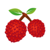 ����֦appv1.0.2 ���°�