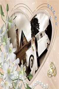 Love Wedding Photo Frames���Ļ������v1.1.0 ��׿��