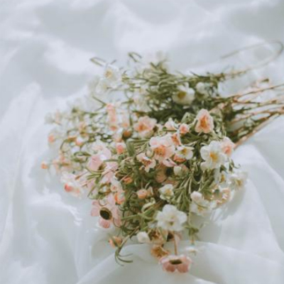 ΢�ž���Ӣ�ĸ���ǩ��������2019 ���������������Ĺ���