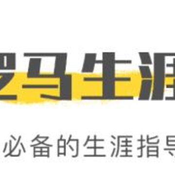 逻马生涯 逻马生涯