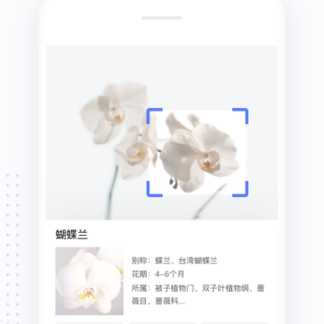 简单搜索 简单搜索