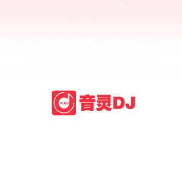 ����DJ