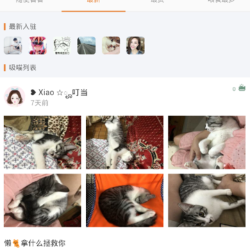 ��èȦ