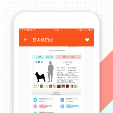 四只猫 四只猫