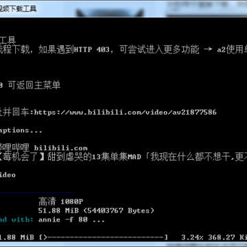 AYYVideoDown