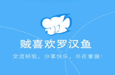 ��ϲ���޺���app